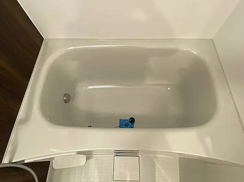 ﾃﾞｨｰﾑｽ上野の浴室