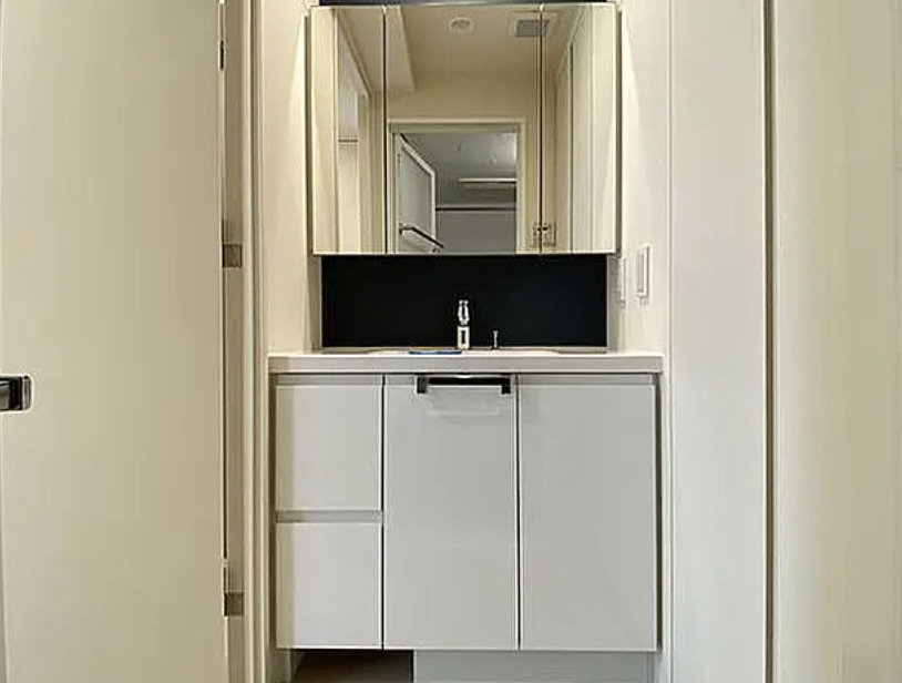 ﾃﾞｨｰﾑｽ上野の独立洗面台