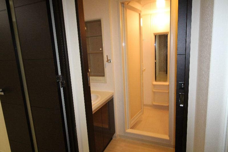 セイワパレス新梅田の洗面所