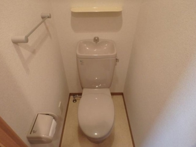 港区赤坂２丁目の賃貸マンションのトイレ