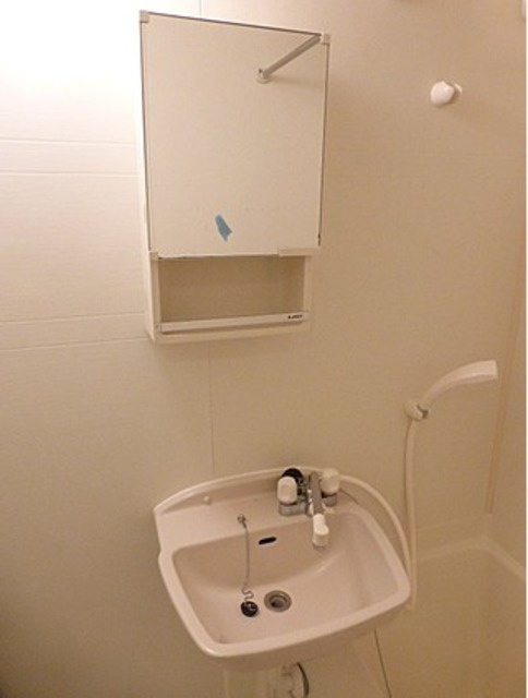 港区赤坂２丁目の賃貸マンションの洗面所