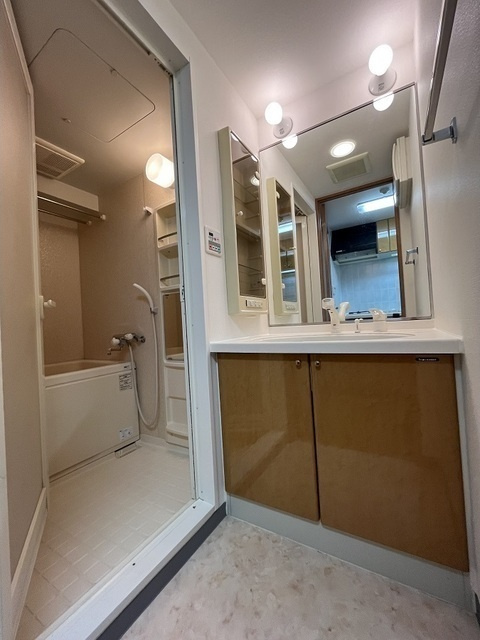 ビューネ渋谷桜丘の洗面所