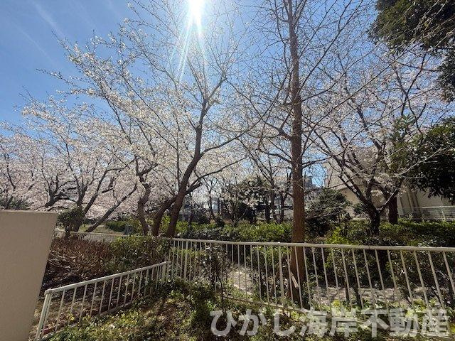 コスモ茅ヶ崎プレシオの展望|テラスからの眺望