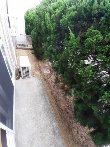 セピアハイツアラキＡの庭