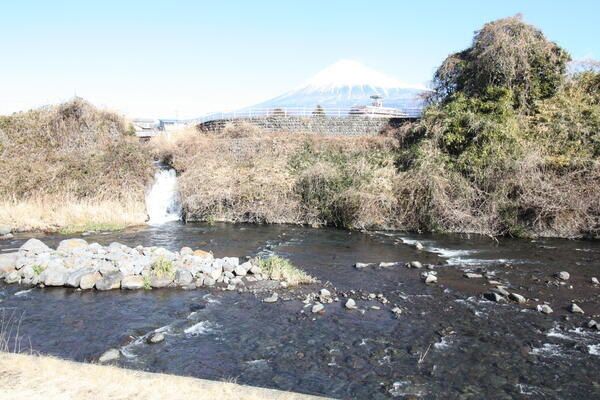 富士宮市黒田の売地|潤井川近くで自然豊かな環境