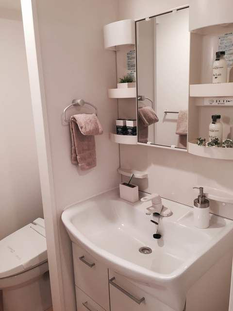 麹町二番町マンションの洗面所