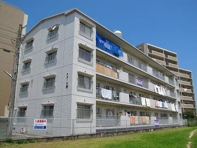 福岡市南区向新町２丁目の賃貸マンションの外観|外観写真