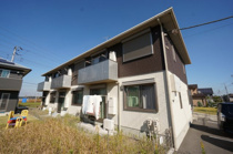 サンライズウロコの画像