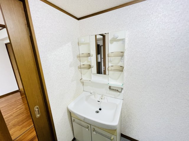 コーポラスJOYの洗面所