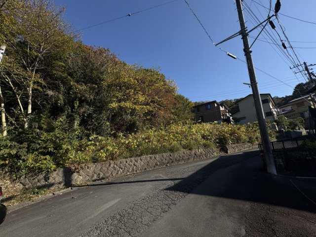 売土地　伊豆の国市中の前面道路含む現地写真|日当たり良好です。