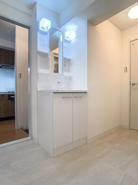 レピナールリサの洗面所