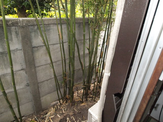 八重垣荘の設備