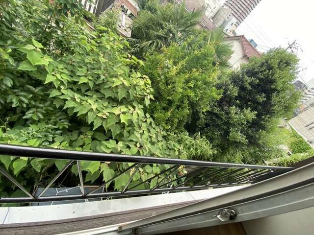 八重垣荘の展望