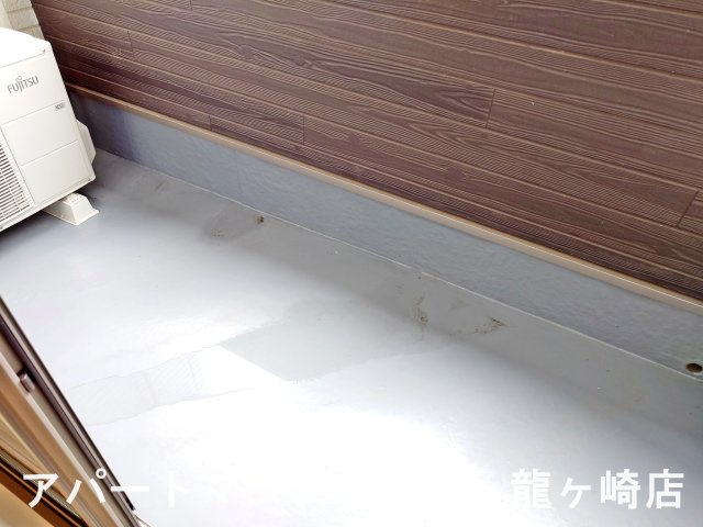 アポロンAの展望