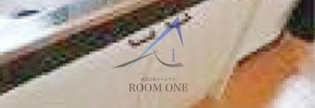 フロンティアの収納|収納です。