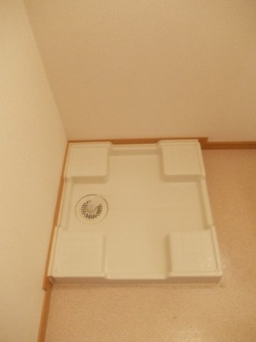 プリムローズのその他