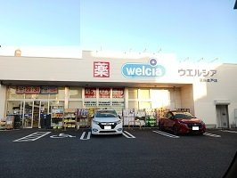 プリムローズの周辺|ウエルシア葛飾奥戸店まで90m