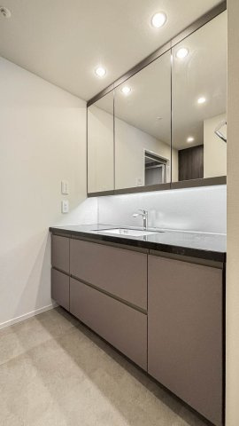 ヴィークコート市ヶ谷加賀町の独立洗面台