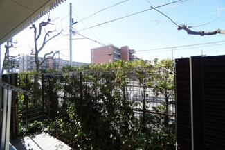 【展望】 | オハナ平塚袖ヶ浜