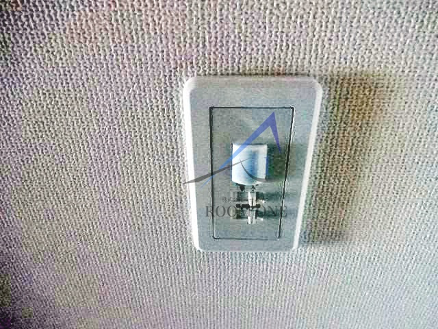 ami fleurのその他