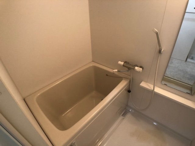 東大阪市大蓮東２丁目のアパートの浴室