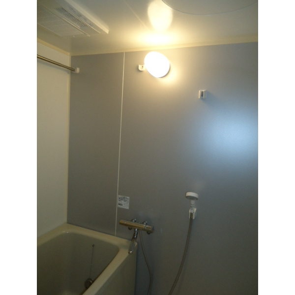 エルミタージの浴室