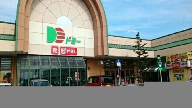 メゾン美園の周辺|ドミー小坂井店様まで1100m