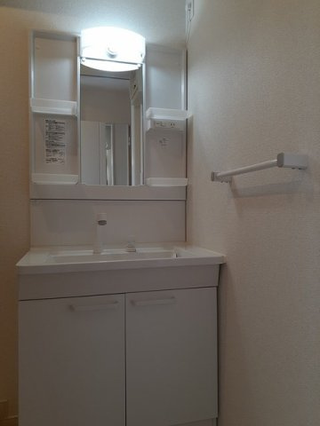 メゾン美園の洗面所