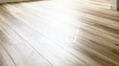 【居間・リビング】 | ＦＩＲＳＴＯＲＤＥＲ　ＲＥＳＩＤＥＮＣＥＳ | 洋室です。