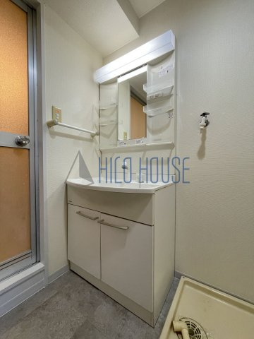 サニーエステートの洗面所