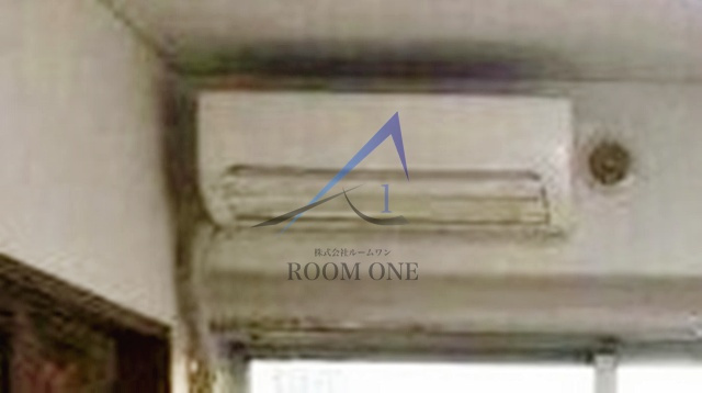 ｍａｇｎｏｌｉａ　ｈｏｕｓｅのその他