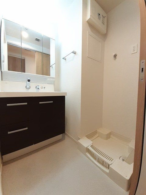 スカイハウス　グランデの洗面所