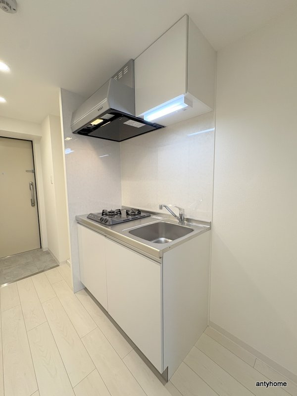 エグゼ大阪CITYルーエ　仲介手数料無料のキッチン