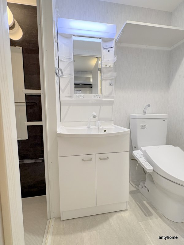 エグゼ大阪CITYルーエ　仲介手数料無料の洗面所