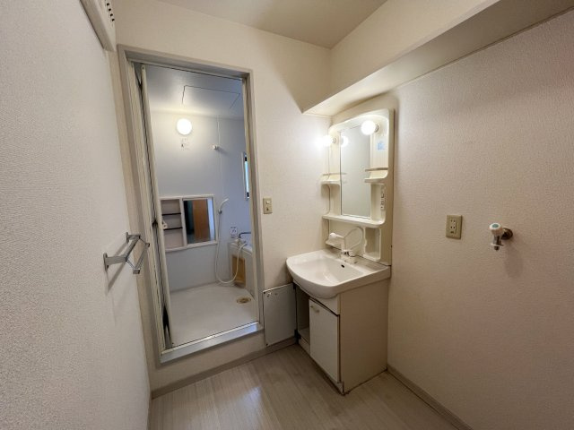 ディアス初月の洗面所