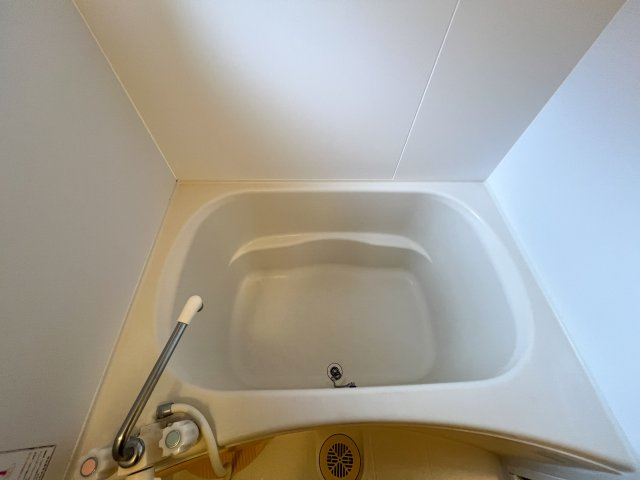 ディアス初月の浴室