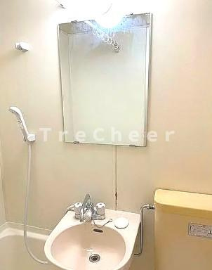 ライフピアトパーズの洗面所