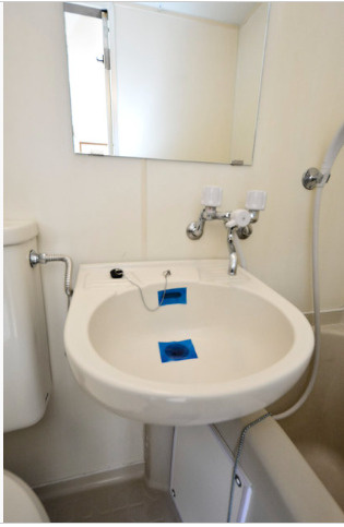 メゾン・ド・マジョレの洗面所