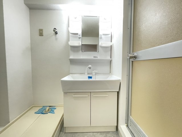 メゾン大邦の洗面所