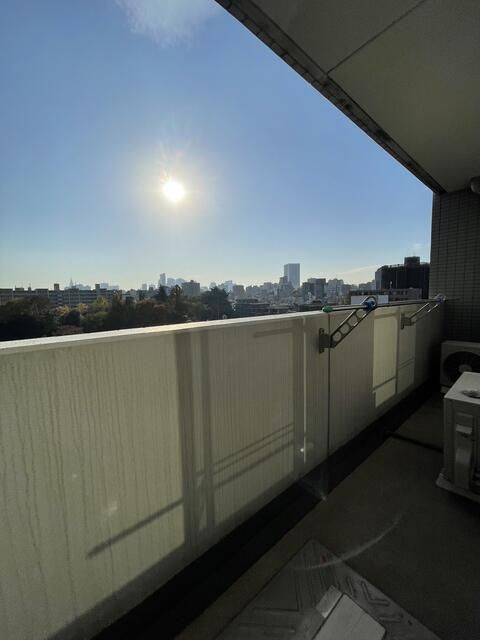 スカイコートルーベンス西早稲田の展望