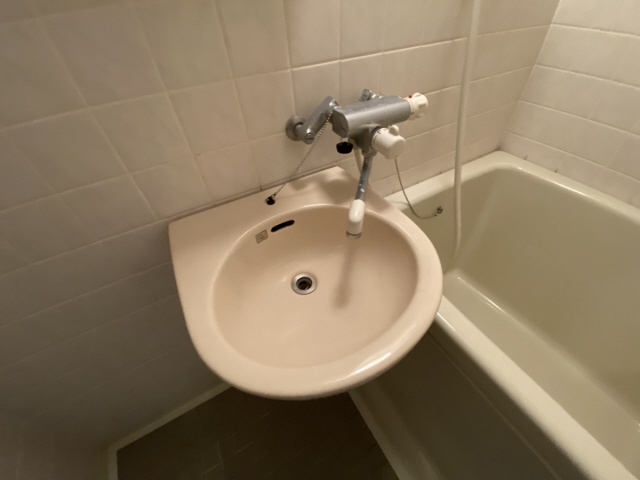 ウェルコート岡本の洗面所