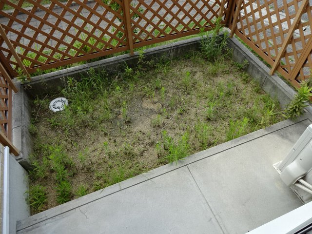 姫路市別所町小林のハイツの庭