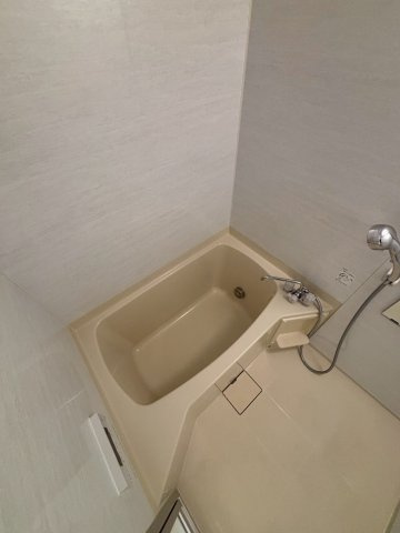 エグゼレジデンスタワーの浴室