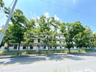 サンハイム杉林の画像