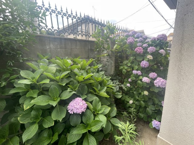 【庭】 | 荒江サンハイツ | L字型のお庭でどの部屋からもアクセスできるので、お洗濯物干しやガーデニングなどに便利です