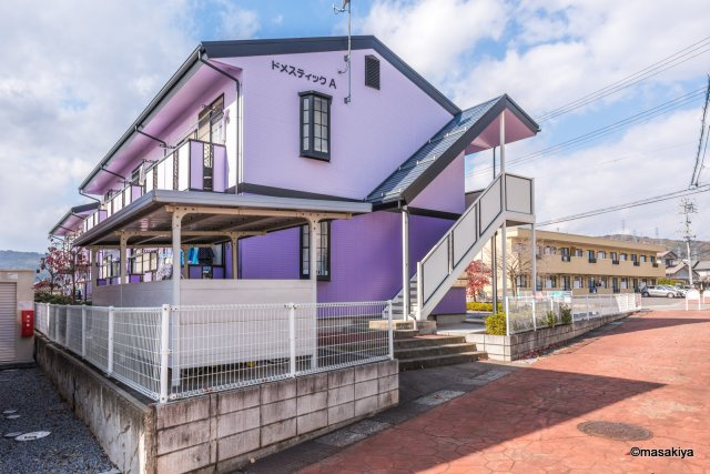 ドメスティック