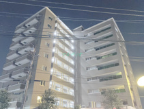 ＬＡＮＡＩ　Ｔ　ＧＡＲＤＥＮの画像