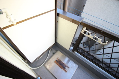 【その他】 | フルブルーム