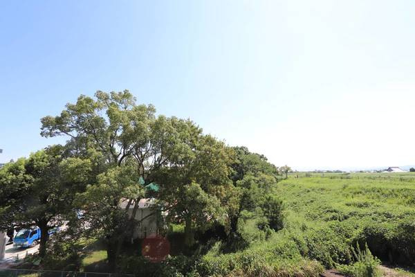 ビレッジハウス佐賀第二1号棟のその他|ビレッジハウスの同一物件・同一タイプの間取りの写真です