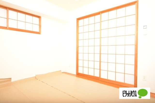 ADVANCE NAGAI Ⅱのその他